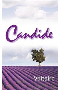 Candide