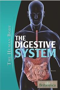 Digestive System