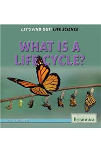 What Is a Life Cycle?