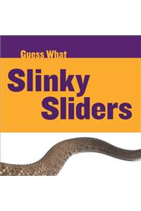 Slinky Sliders