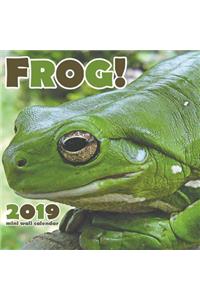 Frog! 2019 Calendar