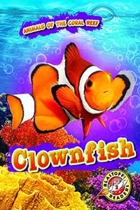 Clownfish