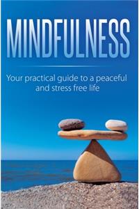Mindfulness