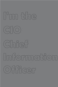 I'm the CIO-Chief Information Officer