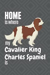 Home is where my Cavalier King Charles Spaniel is