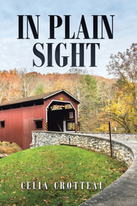 In Plain Sight