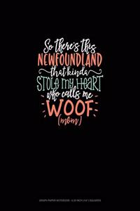 So There's This Newfoundland That Kinda Stole My Heart Who Calls Me Woof (Mom)