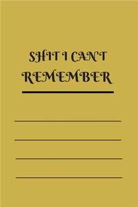 Shit I Can't Remember