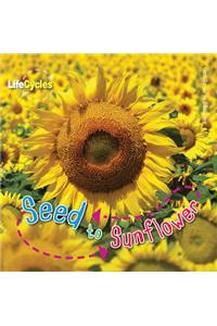 Seed to Sunflower