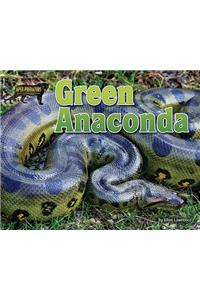 Green Anaconda