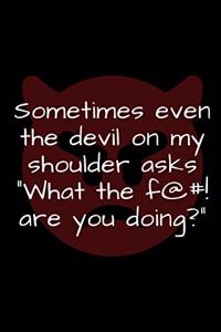 Sometimes even the devil on my shoulder asks...