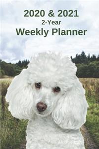 2020 & 2021 Weekly Planner - Two Year Appointment Book Gift - Two-Year Agenda Notebook for Poodle Dog Owners