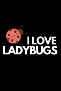 I Love Ladybugs