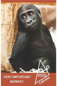 Very Important Monkey