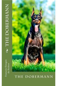 dobermann
