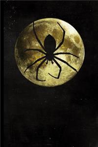 Full Moon Spider