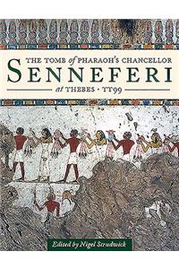 Tomb of Pharaoh's Chancellor Senneferi at Thebes (TT99)