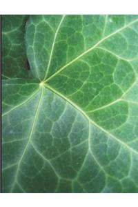 The Garden of Weedin' 2012