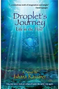Droplet's Journey