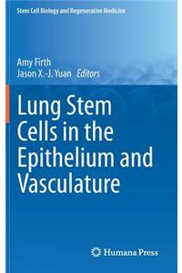 Lung Stem Cells in the Epithelium and Vasculature