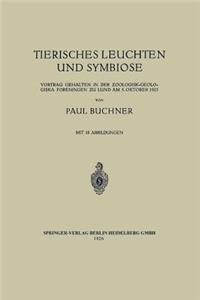 Tierisches Leuchten und Symbiose