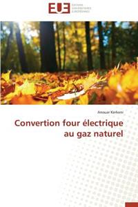 Convertion Four Électrique Au Gaz Naturel