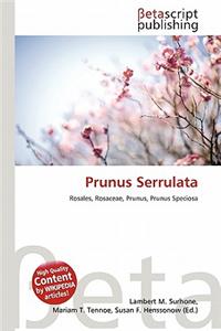 Prunus Serrulata