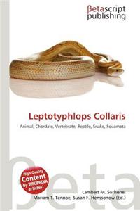 Leptotyphlops Collaris