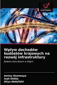 Wplyw dochodów budżetów krajowych na rozwój infrastruktury