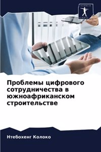 Проблемы цифрового сотрудничества в южно