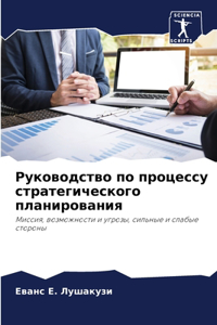 Руководство по процессу стратегического
