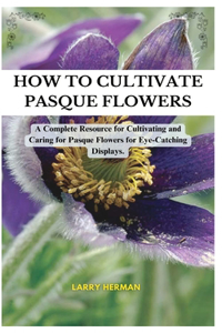 How to Cultivate Pasque Flowers