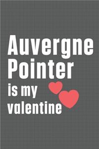 Auvergne Pointer is my valentine