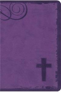 NIV, Rock Solid Faith Study Bible for Teens, Leathersoft, Purple