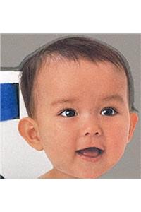 Buggy Book:  Baby Faces