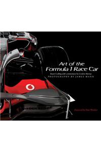 Art of the Formula 1 Race Car