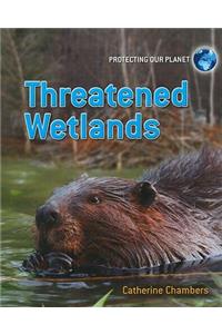 Threatened Wetlands