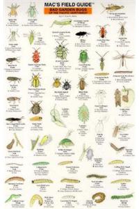 Mac's Field Guides: Northwest Garden Bugs