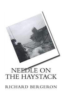 Needle on the Haystack