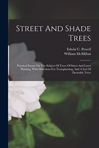 Street And Shade Trees