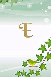 E