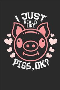 I Just Really Like Pigs, OK?