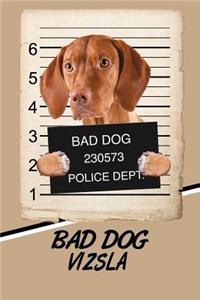 Bad Dog Vizsla