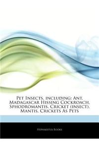 Articles on Pet Insects, Including: Ant, Madagascar Hissing Cockroach, Sphodromantis, Cricket (Insect), Mantis, Crickets as Pets