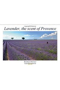 Lavender, the scent of Provence 2018