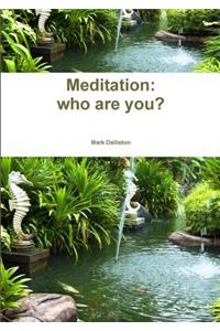 Meditation: who are you?