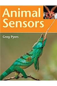 Rigby Literacy: Student Reader Bookroom Package Grade 2 (Level 16) Animal Sensors