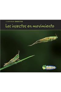 Los Insectos En Movimiento