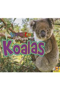 Koalas