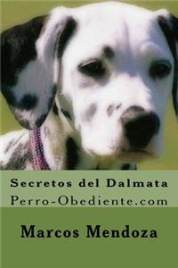 Secretos del Dalmata: Perro-Obediente.com